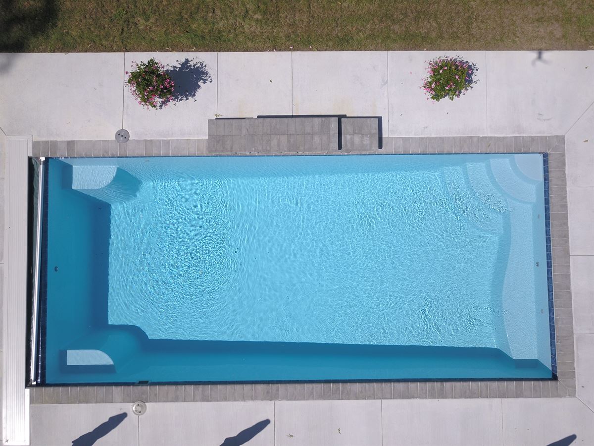 Rectangular, Freeform Or What? Choosing A Pool Shape And Modern ...