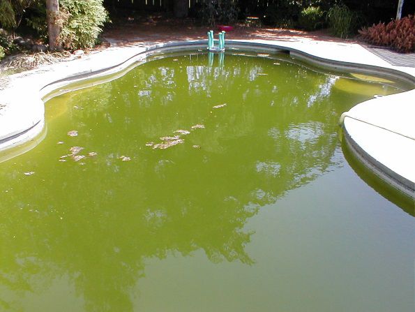 what causes green water in pool